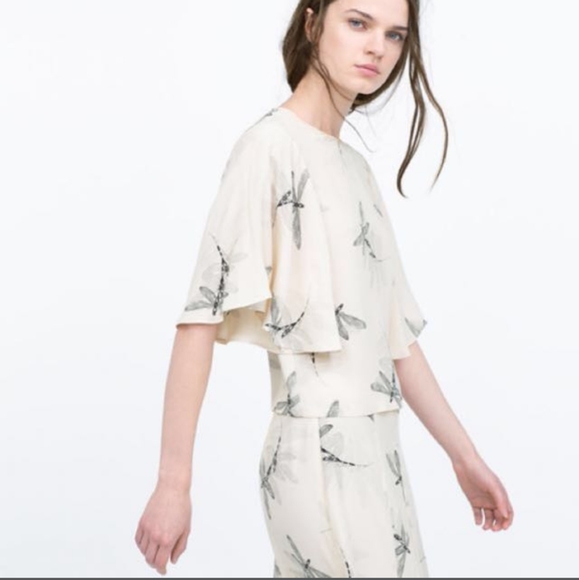 Zara Dragonfly Flutter Sleeve Blouse - Picture 6 of 6